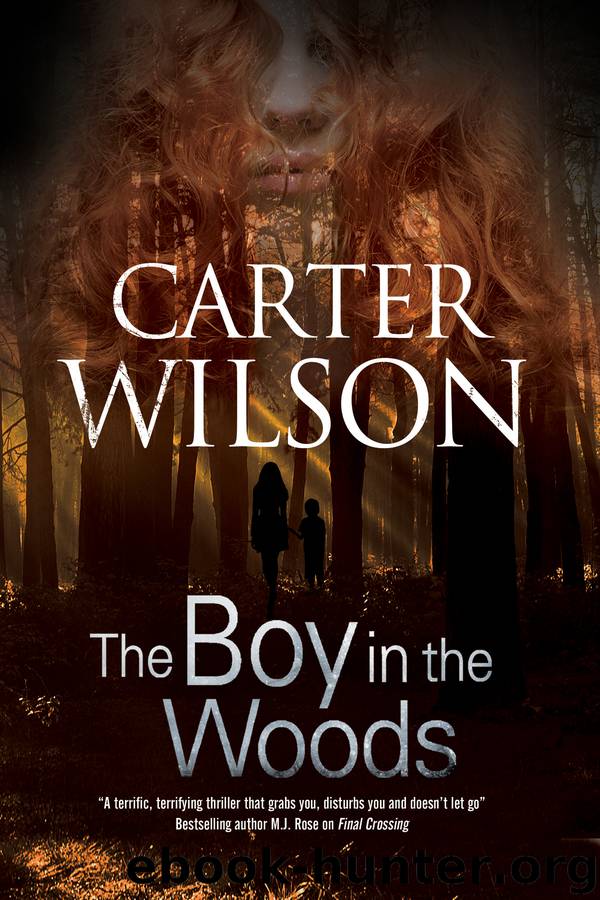 Boy in the Woods, The by Carter Wilson