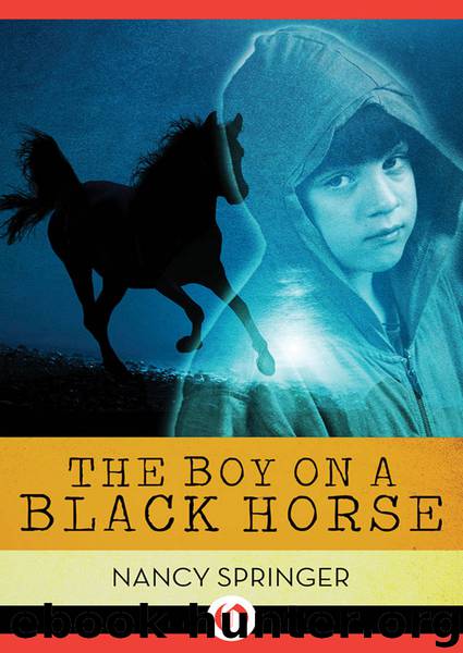 Boy on a Black Horse by Springer Nancy;