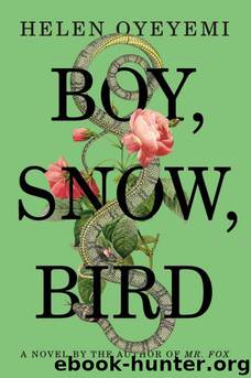 Boy, Snow, Bird by Helen Oyeyemi