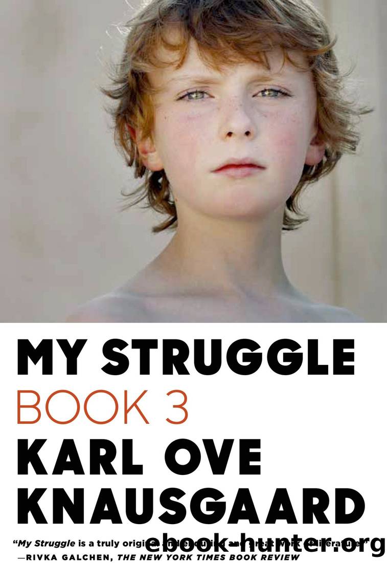 Boyhood Island: My Struggle Book 3 by Karl Ove Knausgaard