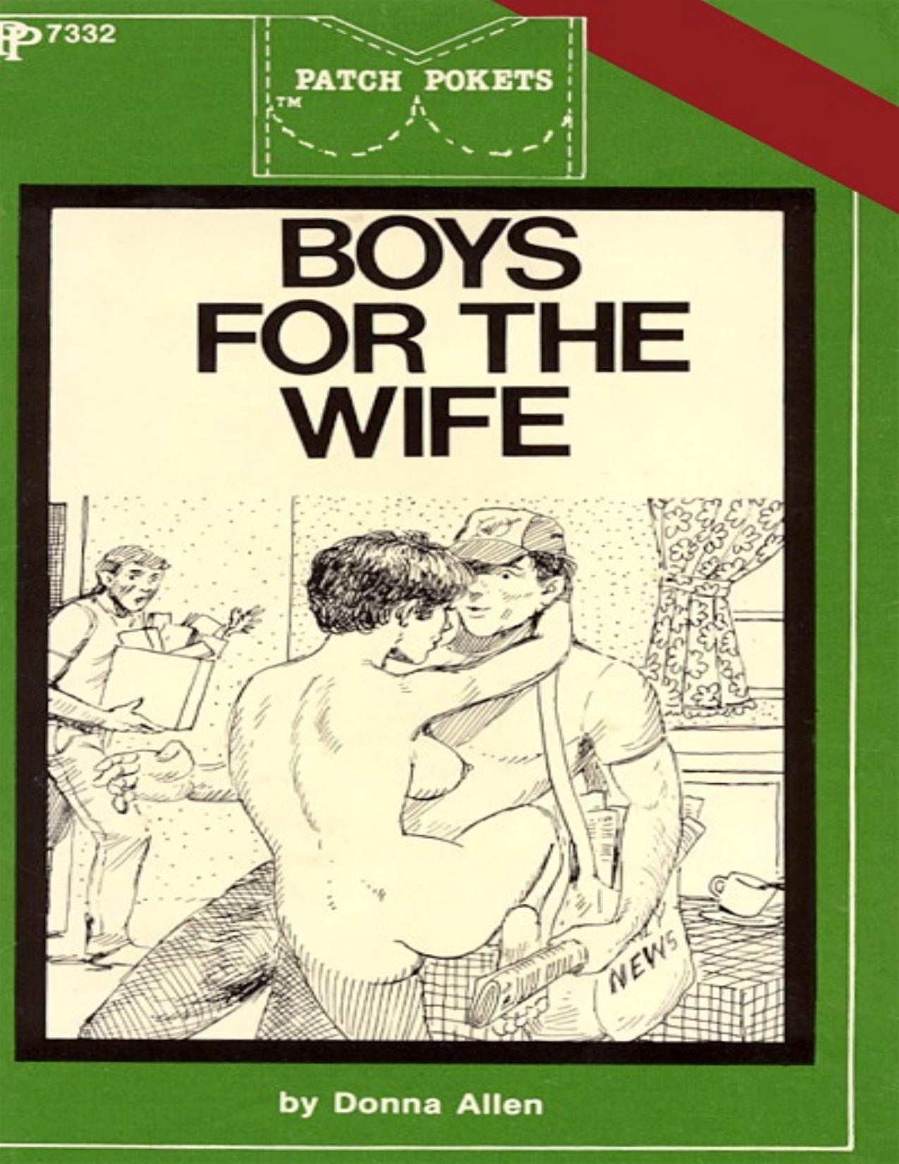 Boys For The WIfe by Donna Allen