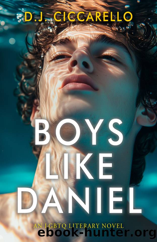 Boys Like Daniel: A Journey of Desire and Reckoning by D.J. Ciccarello