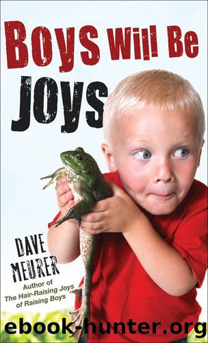Boys Will Be Joys by Dave Meurer