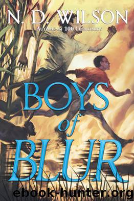 Boys of Blur by N. D. Wilson