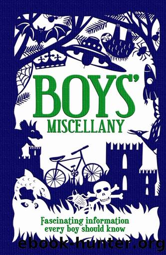 Boys' Miscellany by Martin Oliver