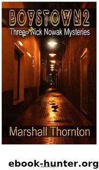 Boystown 2 by Marshall Thornton