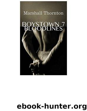 Boystown 7: Bloodlines by Marshall Thornton