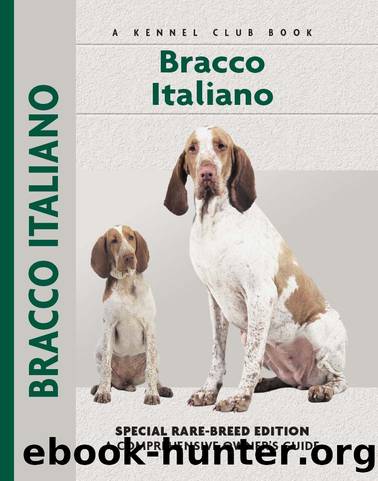 Bracco Italiano by Juliette Cunliffe