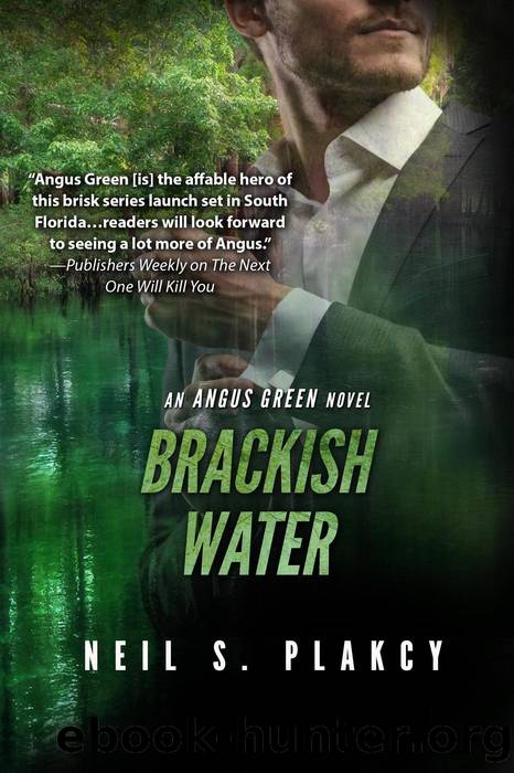 Brackish Water by Neil S. Plakcy