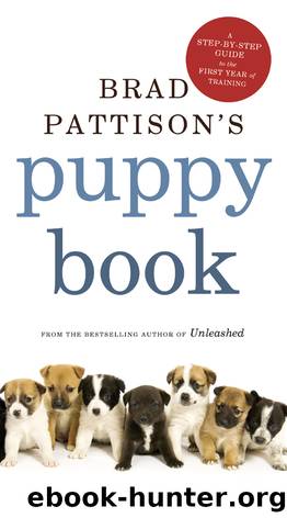 Brad Pattison's Puppy Book by Brad Pattison