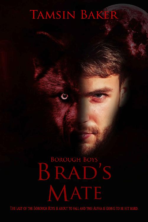 Brad's Mate: M/M werewolf erotic romance (The Borough Boys Book 3) by Tamsin Baker