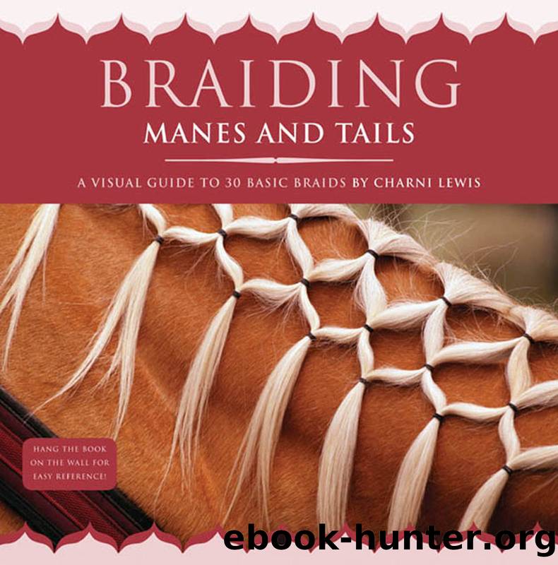 Braiding Manes and Tails by Charni Lewis
