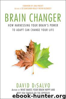 Brain Changer by David DiSalvo