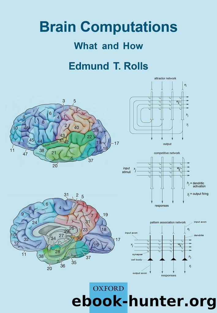 Brain Computations by Rolls Edmund T.;