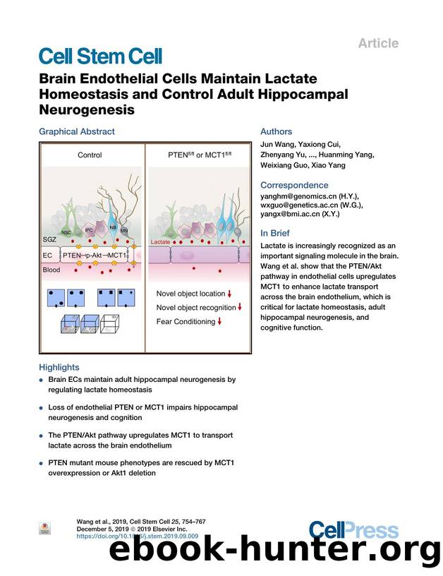 Brain Endothelial Cells Maintain Lactate Homeostasis and Control Adult Hippocampal Neurogenesis by unknow