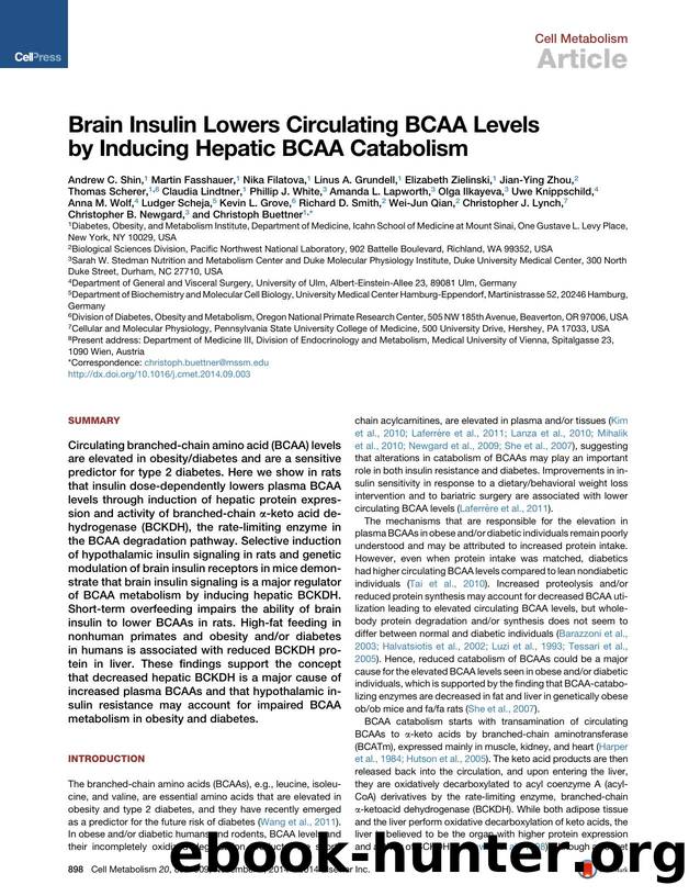 Brain Insulin Lowers Circulating BCAA Levels by Inducing Hepatic BCAA Catabolism by unknow