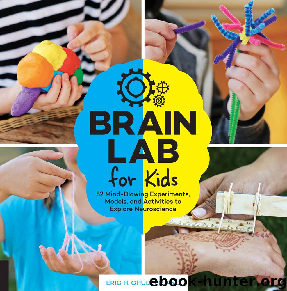 Brain Lab for Kids by Eric H. Chudler