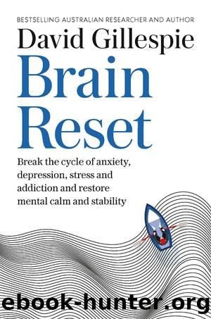 Brain Reset by David Gillespie