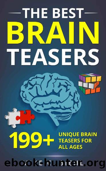 Brain Teasers: The Best 199+ Unique Brain Teasers For All Ages (Riddles, Brain Teasers And Trick Questions) by Mike C. Biehl & Mike C. Biehl