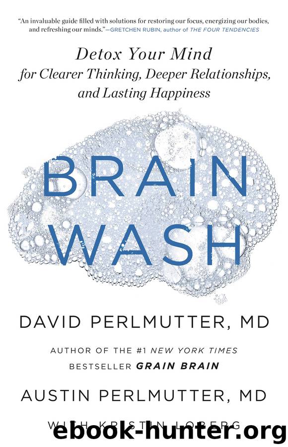 Brain Wash by David Perlmutter & Austin Perlmutter & Kristin Loberg