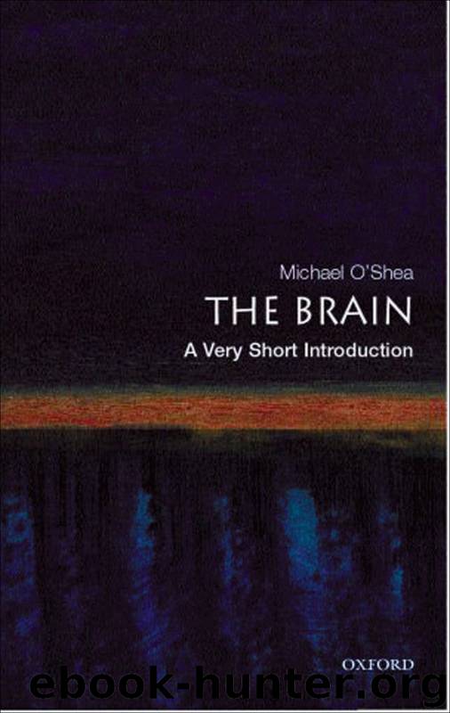 Brain by O'Shea Michael;