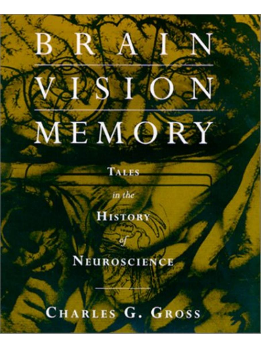 Brain, vision, memory: tales in the history of neuroscience by Gross Charles G