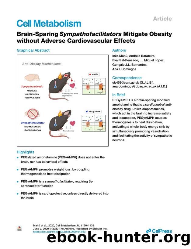 Brain-Sparing Sympathofacilitators Mitigate Obesity without Adverse Cardiovascular Effects by unknow