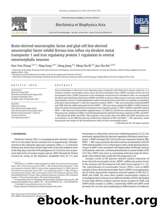 Brain-derived neurotrophic factor and glial cell line-derived neurotrophic factor inhibit ferrous iron influx via divalent metal transporter 1 and iron regulatory protein 1 regulat by Hao-Yun Zhang & Ning Song & Hong Jiang & Ming-Xia Bi & Jun-Xia Xie