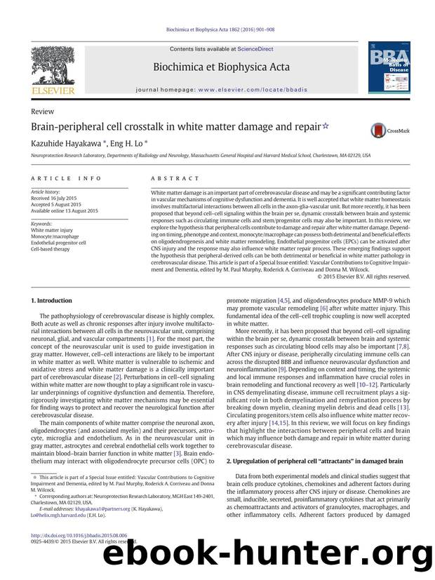 Brain-peripheral cell crosstalk in white matter damage and repair by Kazuhide Hayakawa & Eng H. Lo