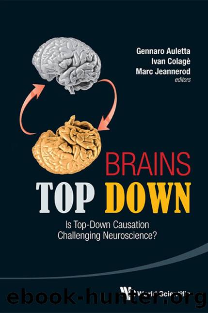 Brains Top Down: Is Top-down Causation Challenging Neuroscience? by Gennaro Auletta; Ivan Colage; Marc Jeannerod