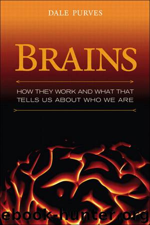 Brains by Dale Purves