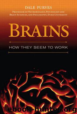 Brains; How They Seem to Work by Dale Purves