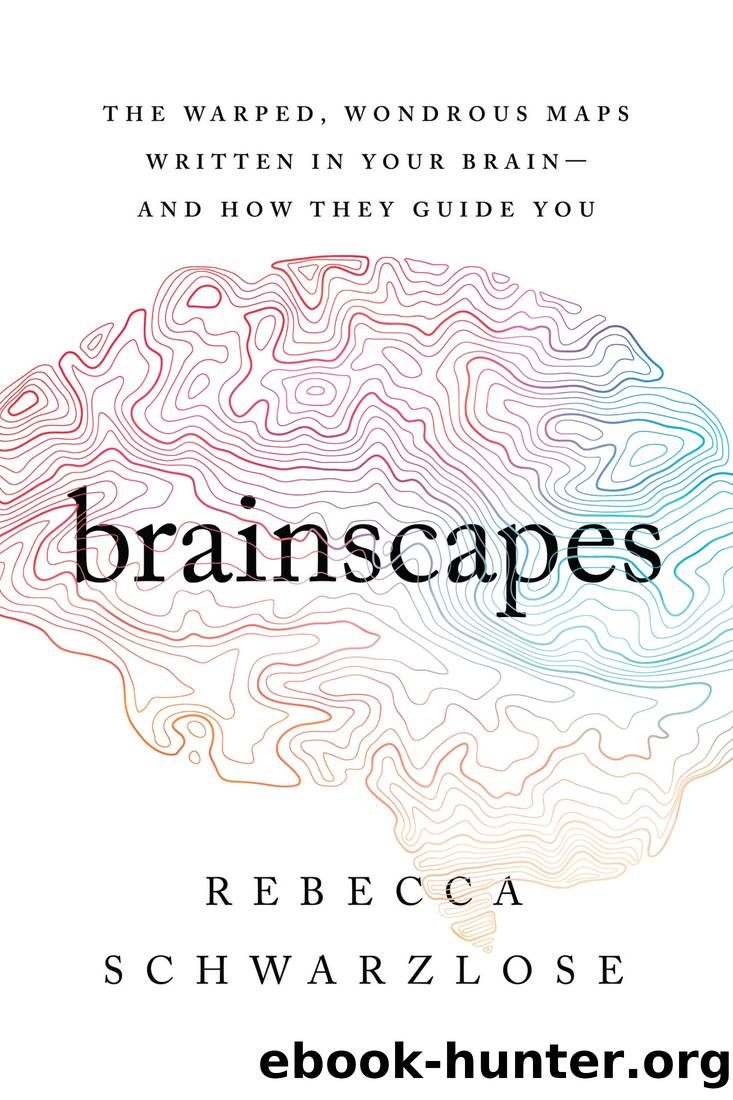 Brainscapes by Rebecca Schwarzlose