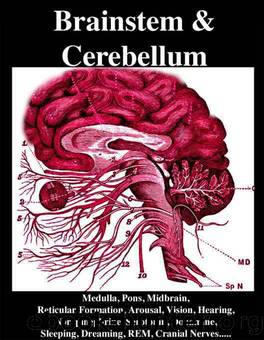 Brainstem and Cerebellum: Medulla, Pons, Midbrain, Reticular Formation, Arousal, Vision, Hearing, Norepinephrine, Serotonin, Dopamine, Sleeping, Dreaming, REM, Cranial Nerves, Motor Control, by Joseph R