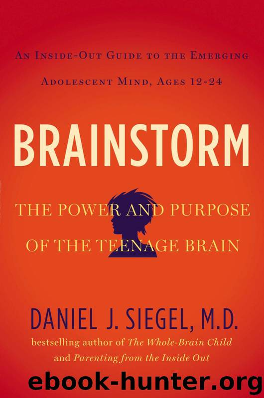 Brainstorm by Daniel J. Siegel MD