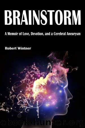 Brainstorm by Robert Wintner