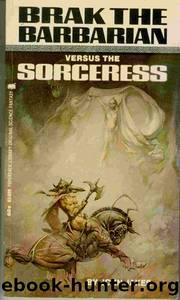 Brak the Barbarian vs the Sorceress by John Jakes