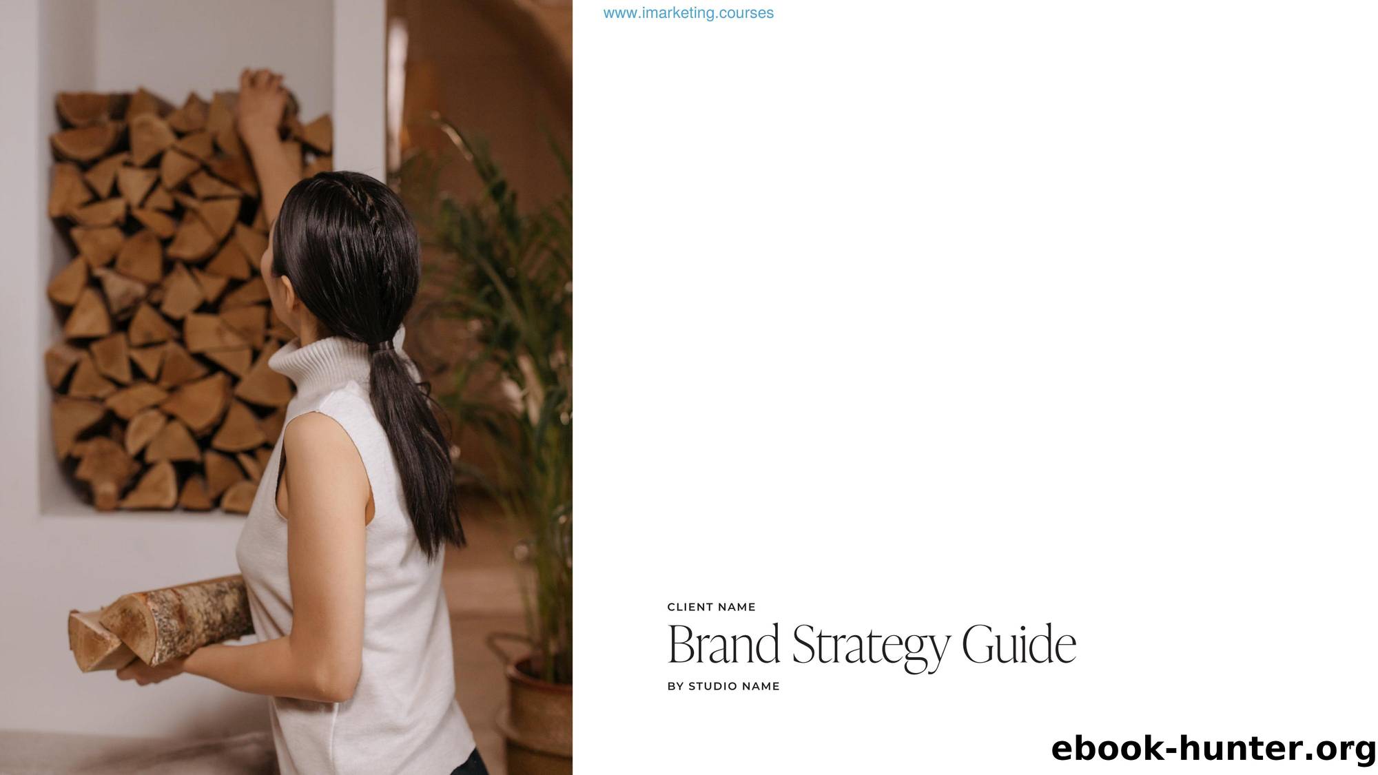 Brand Strategy Guide Example by Unknown