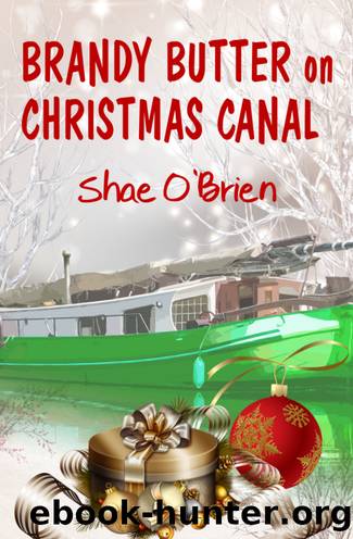 Brandy Butter on Christmas Canal by Shae O'Brien