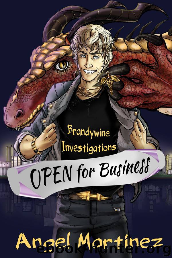 Brandywine Investigations: Open for Business by Martinez Angel
