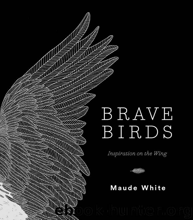 Brave Birds: Inspiration on the Wing by Maude White