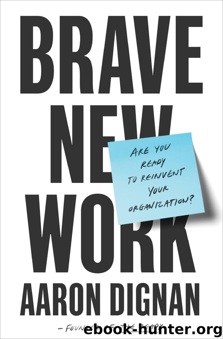 Brave New Work by Aaron Dignan