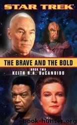 Brave and the Bold (Book 2 of 2) by Keith R. A. Decandido