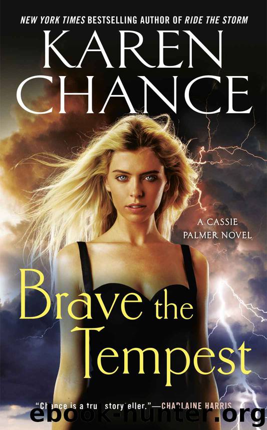 Brave the Tempest by Chance Karen