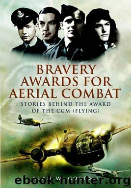 Bravery Awards for Aerial Combat by Alan E Cooper