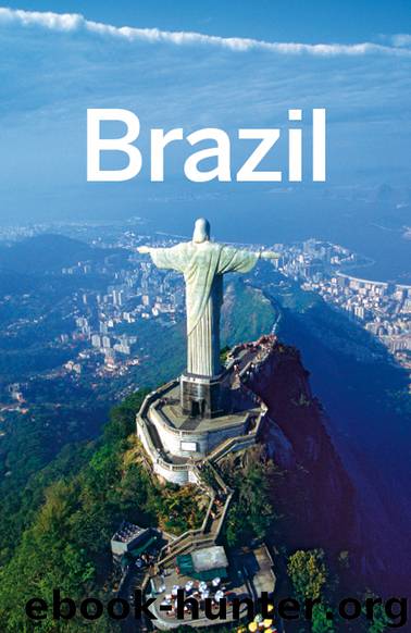 Brazil Travel Guide by Lonely Planet