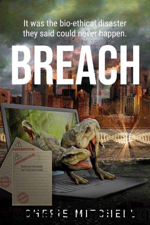 Breach by Cherie Mitchell