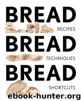 Bread Bread Bread: Recipes, Techniques and Shortcuts by Johansson Martin