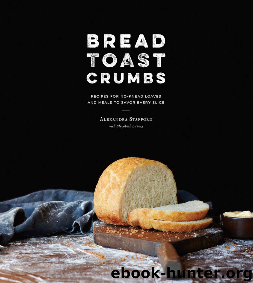 Bread Toast Crumbs : Recipes for No-knead Loaves & Meals to Savor Every Slice (9780553459845) by Stafford Alexandra