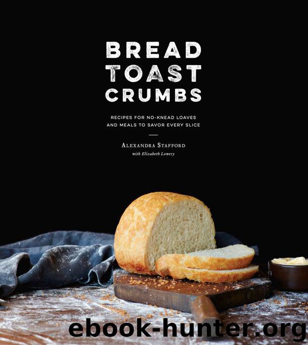 Bread Toast Crumbs: Recipes for No-Knead Loaves & Meals to Savor Every Slice by Alexandra Stafford